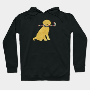 Preppy Golden Retriever Field Hockey Dog Hoodie